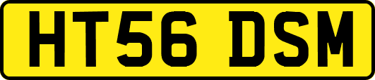 HT56DSM