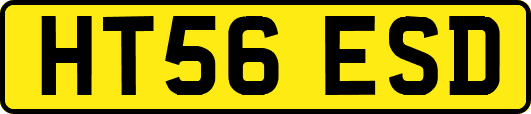 HT56ESD