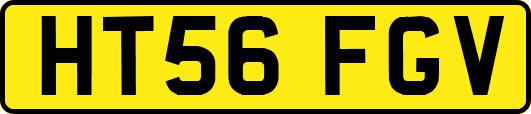 HT56FGV