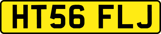 HT56FLJ