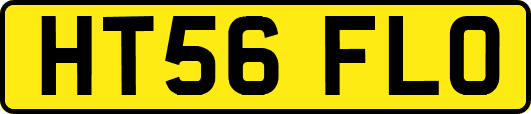 HT56FLO