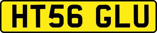 HT56GLU