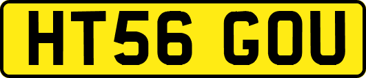 HT56GOU