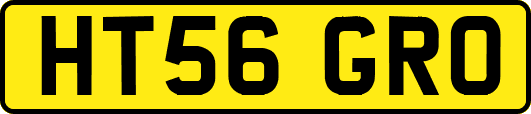 HT56GRO