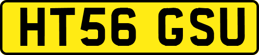 HT56GSU