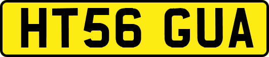 HT56GUA