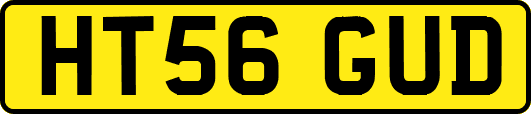HT56GUD