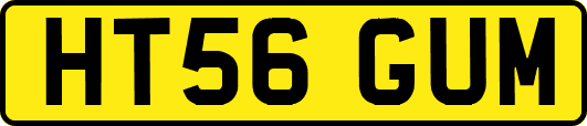 HT56GUM