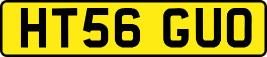 HT56GUO