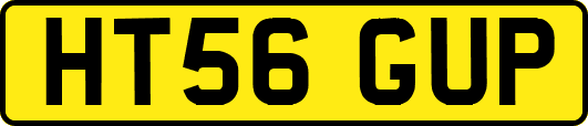 HT56GUP