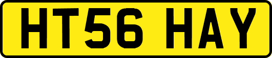 HT56HAY