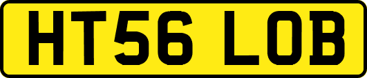 HT56LOB