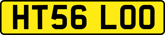 HT56LOO