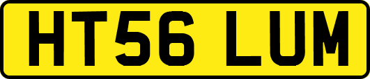 HT56LUM