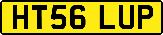 HT56LUP