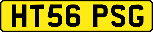 HT56PSG