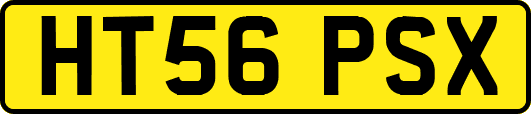 HT56PSX