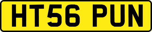 HT56PUN