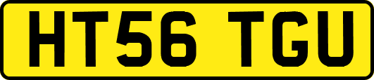 HT56TGU