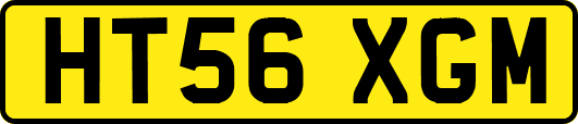 HT56XGM