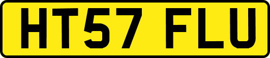 HT57FLU
