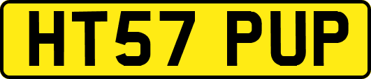 HT57PUP