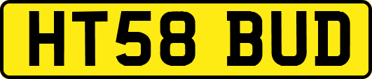 HT58BUD