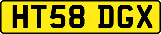 HT58DGX