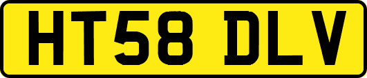 HT58DLV
