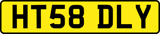 HT58DLY