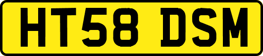 HT58DSM