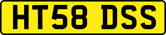 HT58DSS