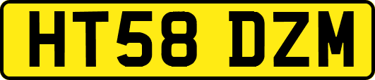 HT58DZM