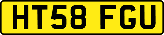 HT58FGU