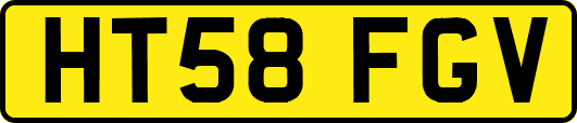 HT58FGV