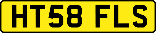 HT58FLS