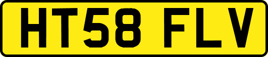 HT58FLV
