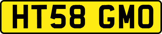 HT58GMO