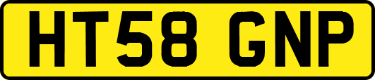 HT58GNP