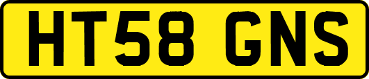 HT58GNS