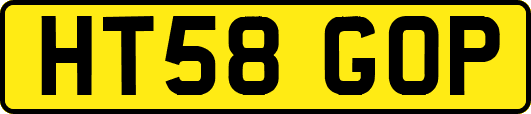 HT58GOP