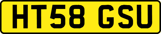 HT58GSU