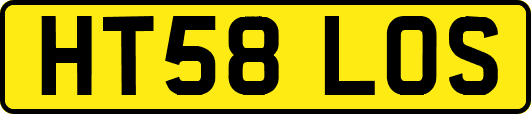 HT58LOS