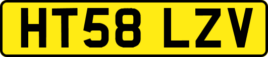 HT58LZV