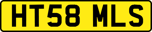 HT58MLS