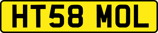 HT58MOL
