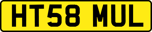 HT58MUL