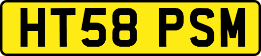 HT58PSM