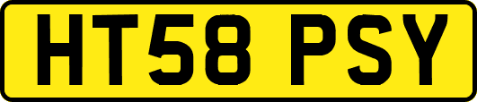 HT58PSY