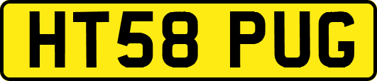 HT58PUG